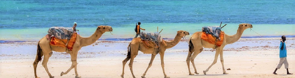photo: undefined